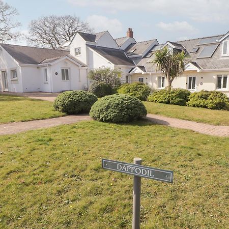 Daffodil Apartment Tenby Zewnętrze zdjęcie