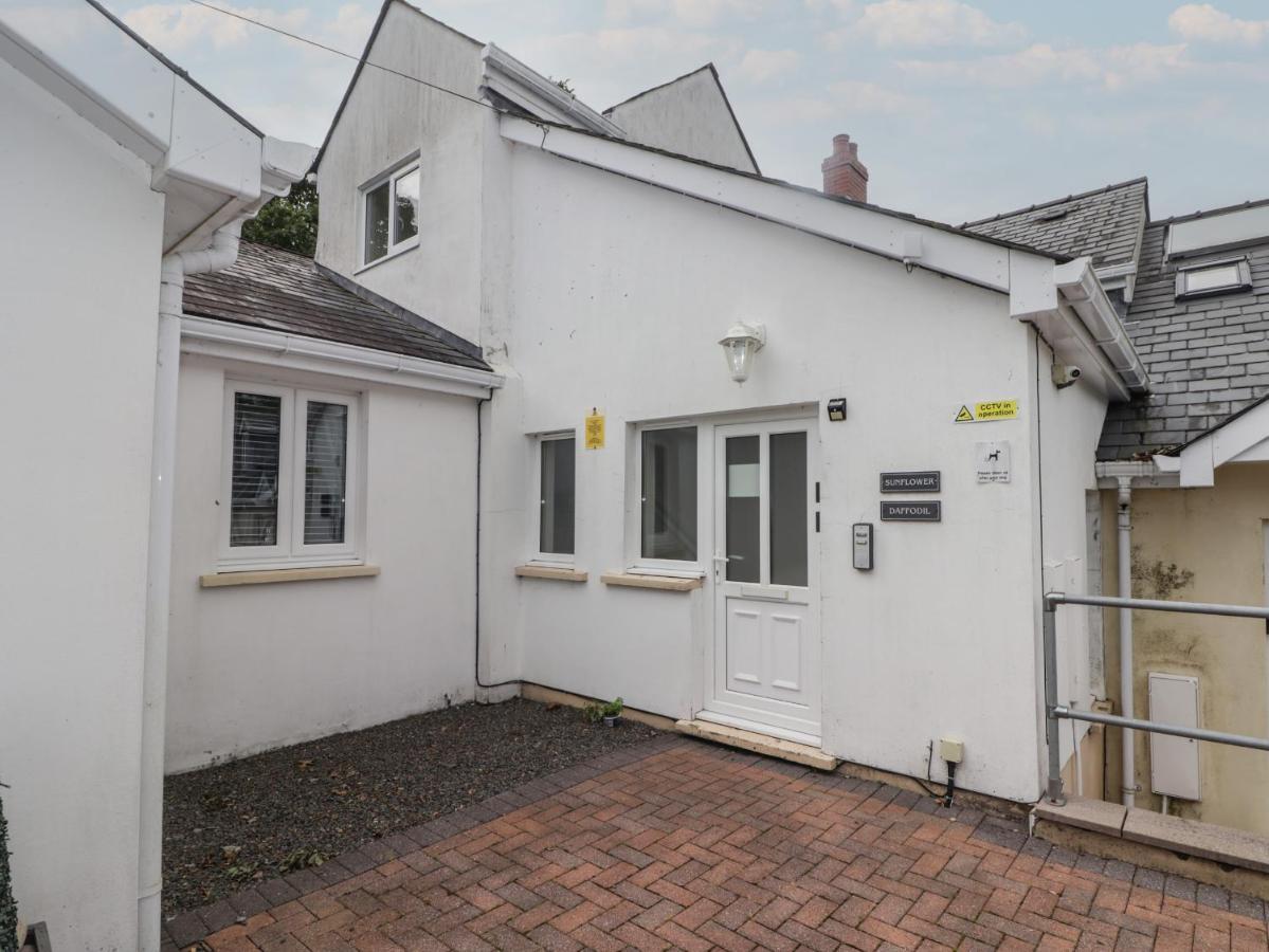 Daffodil Apartment Tenby Zewnętrze zdjęcie