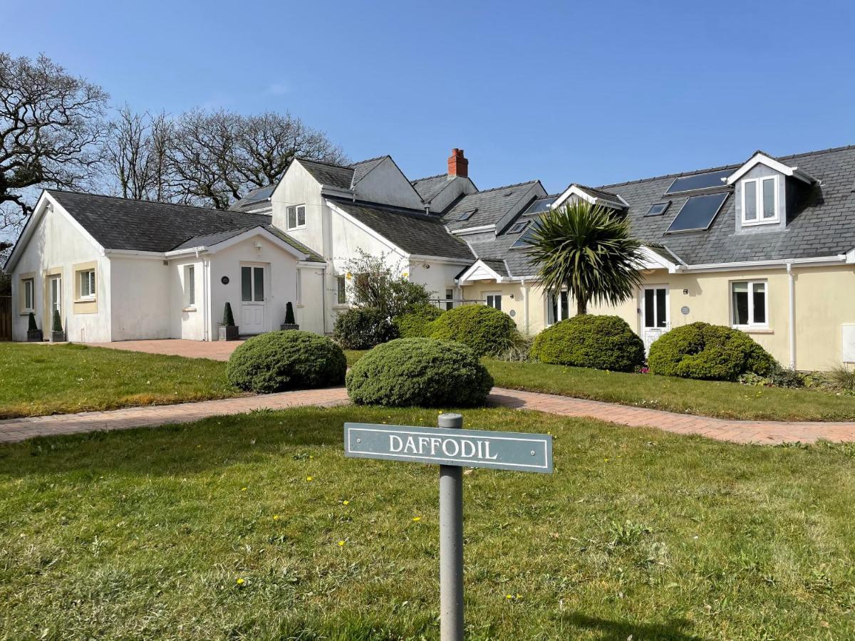 Daffodil Apartment Tenby Zewnętrze zdjęcie
