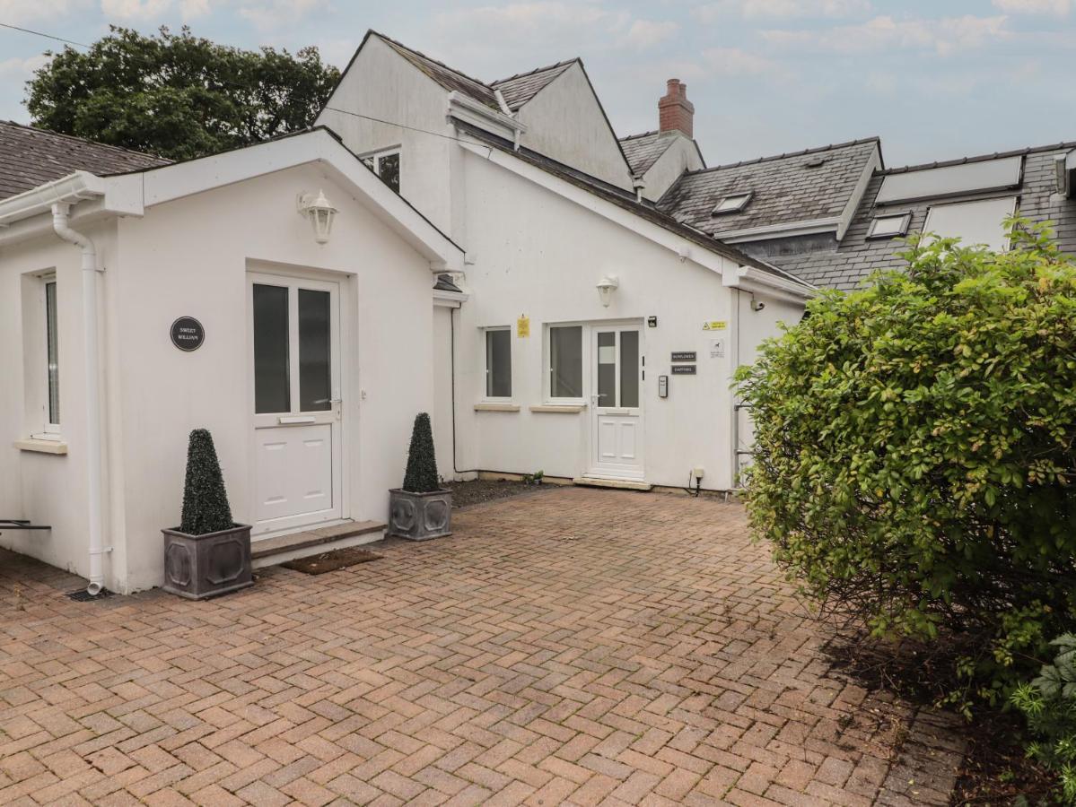 Daffodil Apartment Tenby Zewnętrze zdjęcie