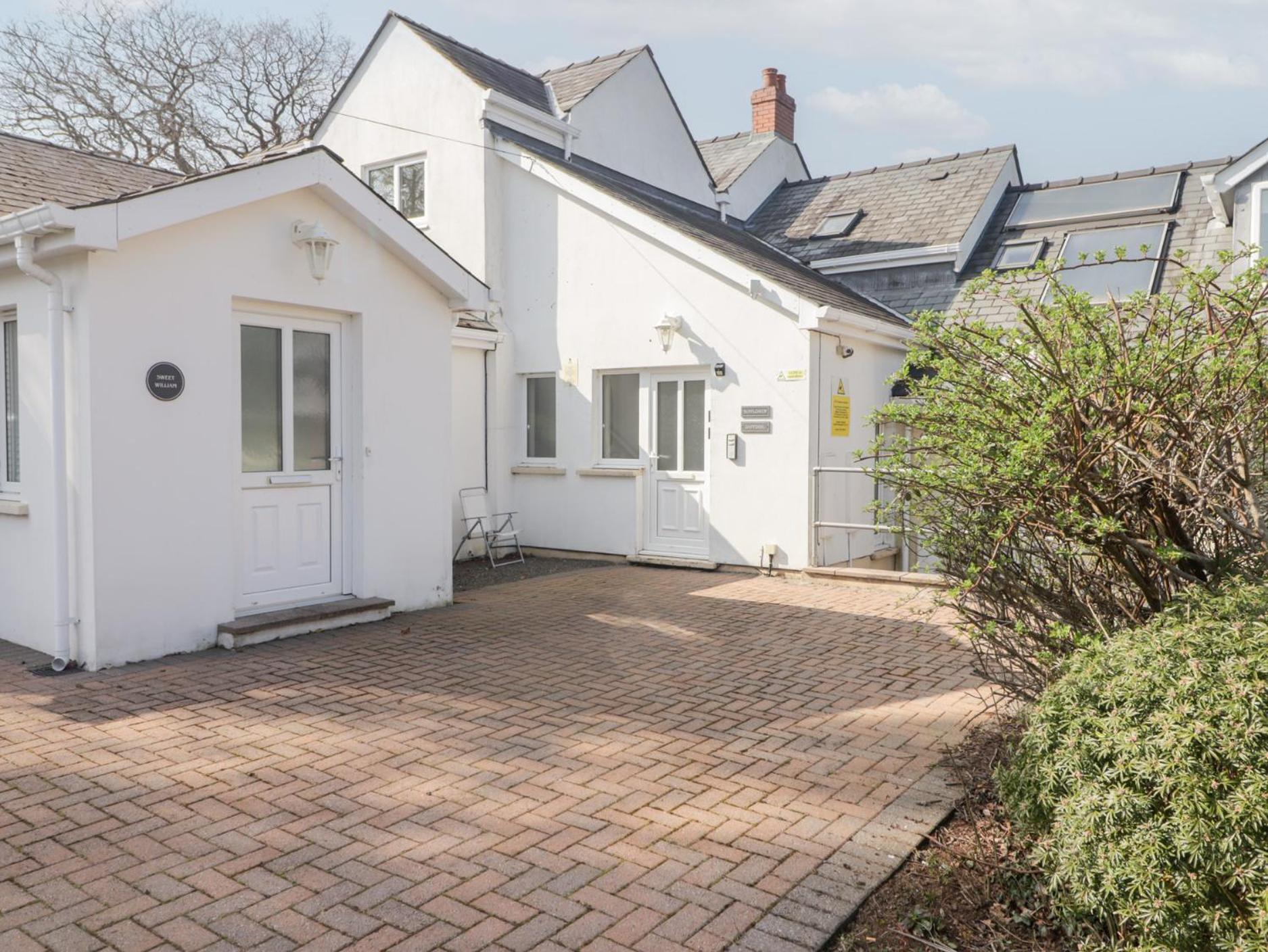 Daffodil Apartment Tenby Zewnętrze zdjęcie
