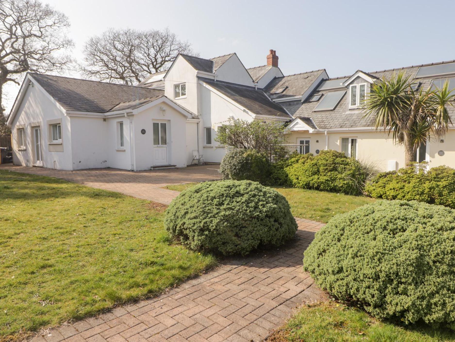 Daffodil Apartment Tenby Zewnętrze zdjęcie