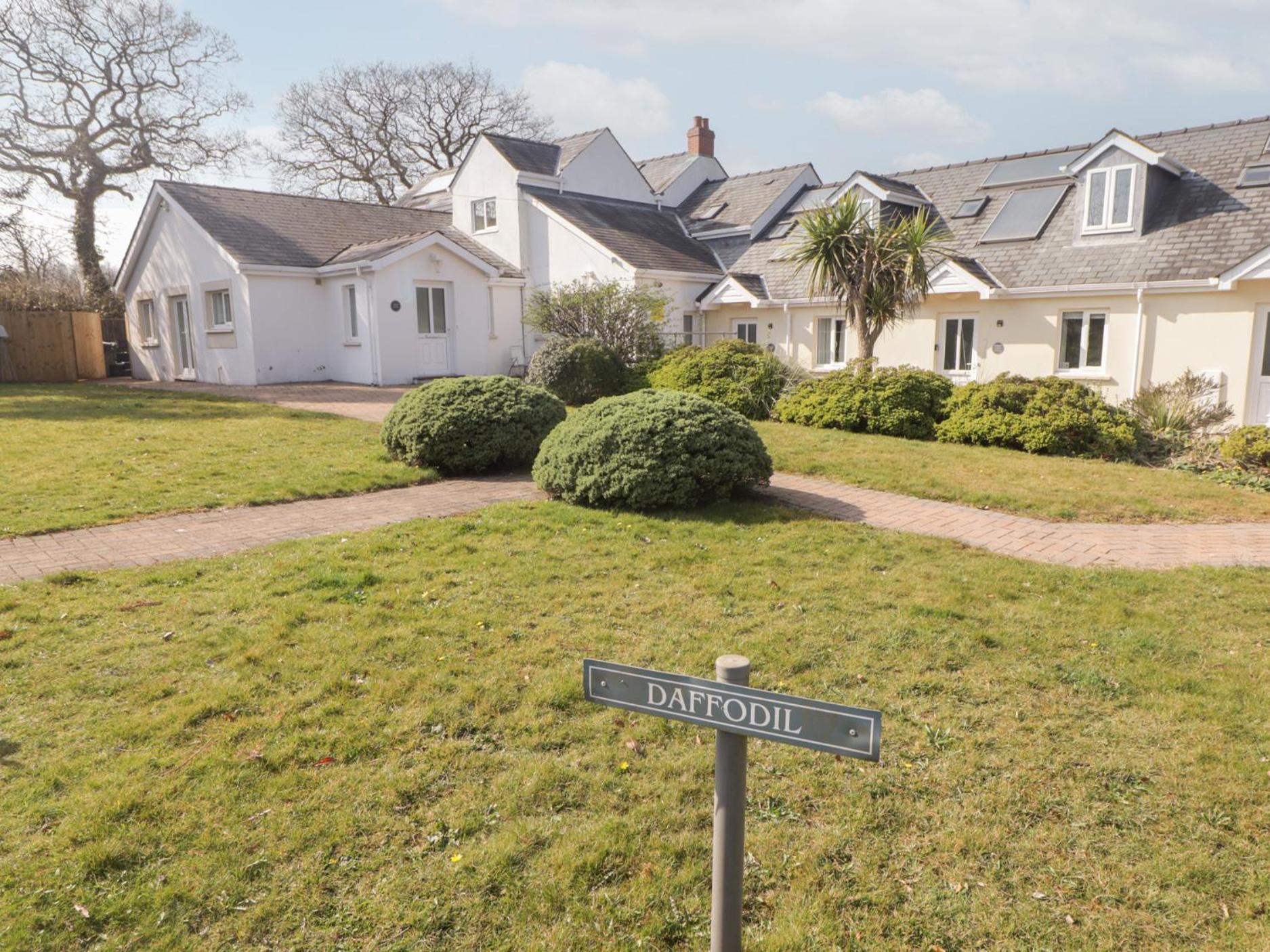 Daffodil Apartment Tenby Zewnętrze zdjęcie